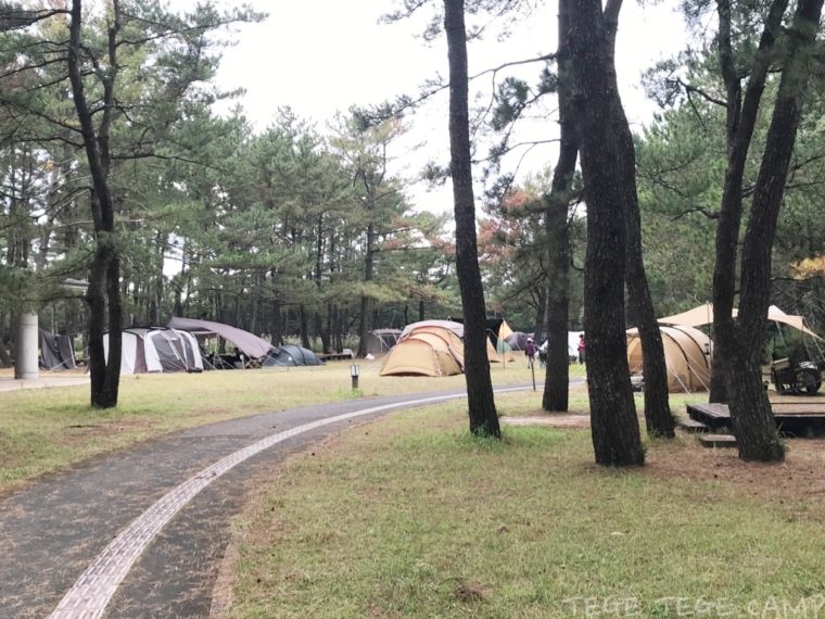テントが数多く設営されている吹上浜海浜公園キャンプ場フリーサイト
