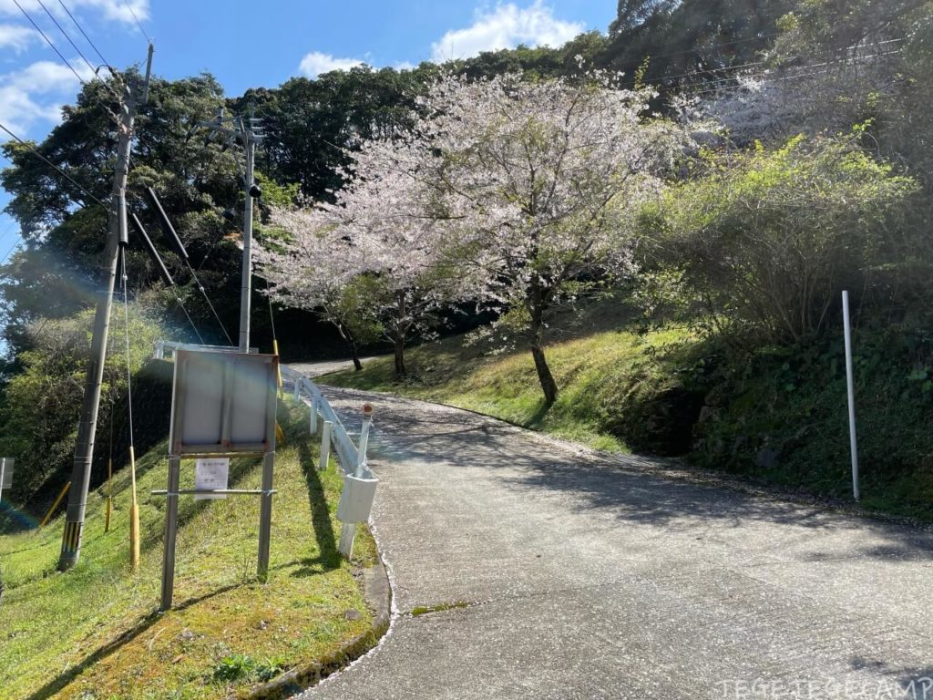 伊集院森林公園の入り口は坂道で春には桜が咲いている