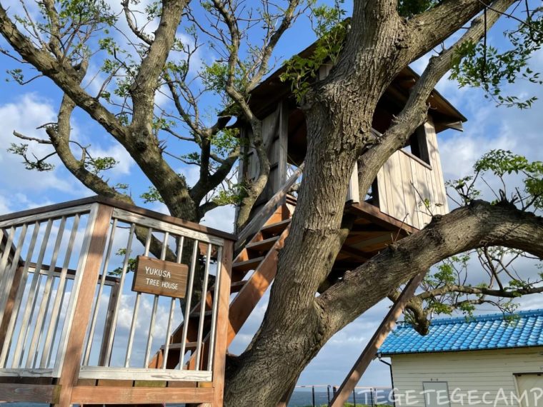 登ることができるユクサおおすみ海の学校のツリーハウス