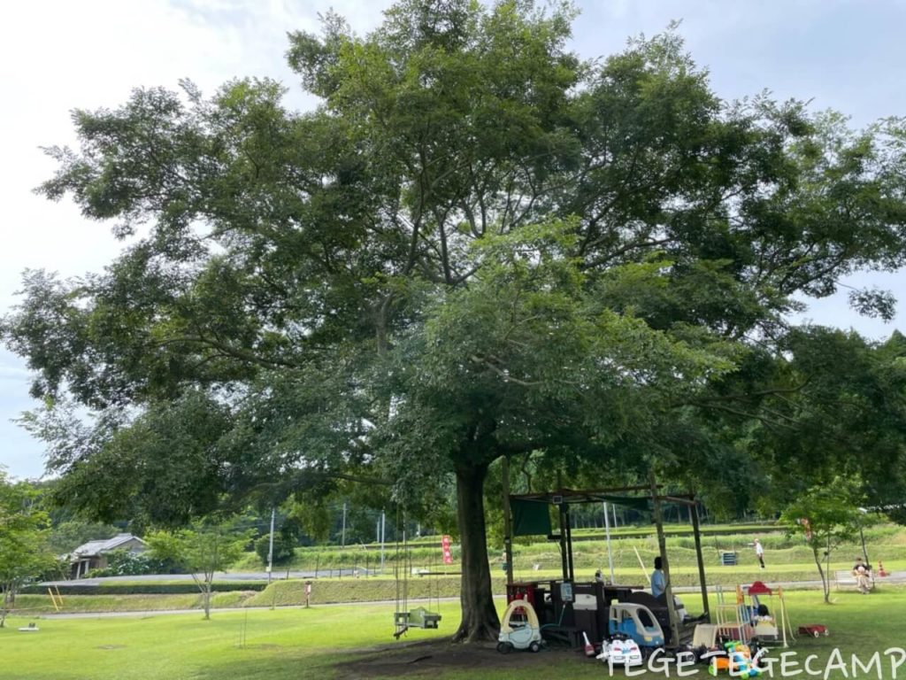 山なぎ公園のシンボルツリー「この木なんの木」の下にはブランコなどの遊具がある